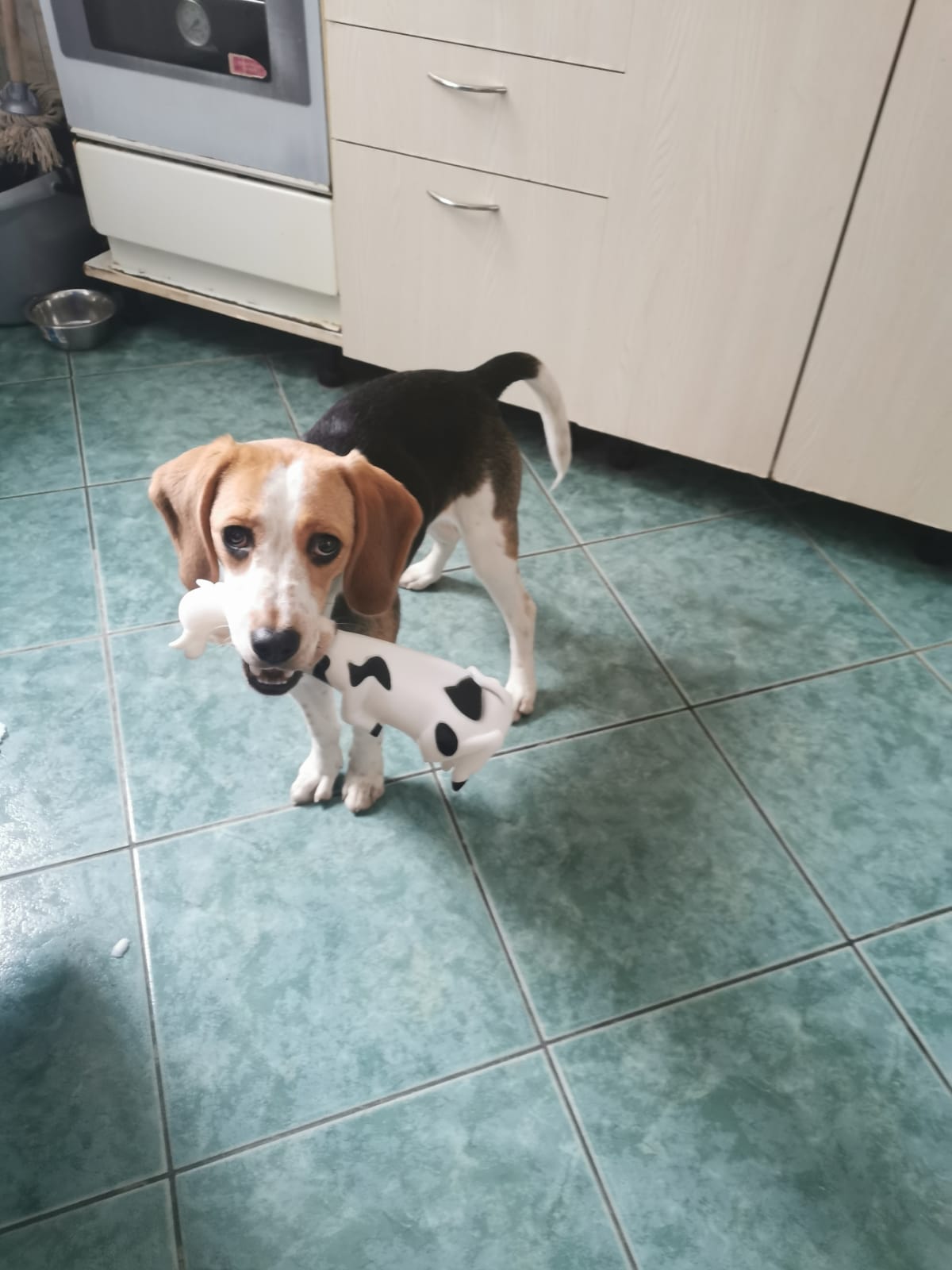 Indepartare material